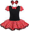 Minnie Mouse Party Fancy Costume