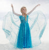 Princess Elsa & Anna Costume Party Dress