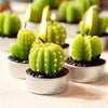 Artificial Cactus Plants Candle Decoration