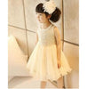 Summer Girls Dress Princess